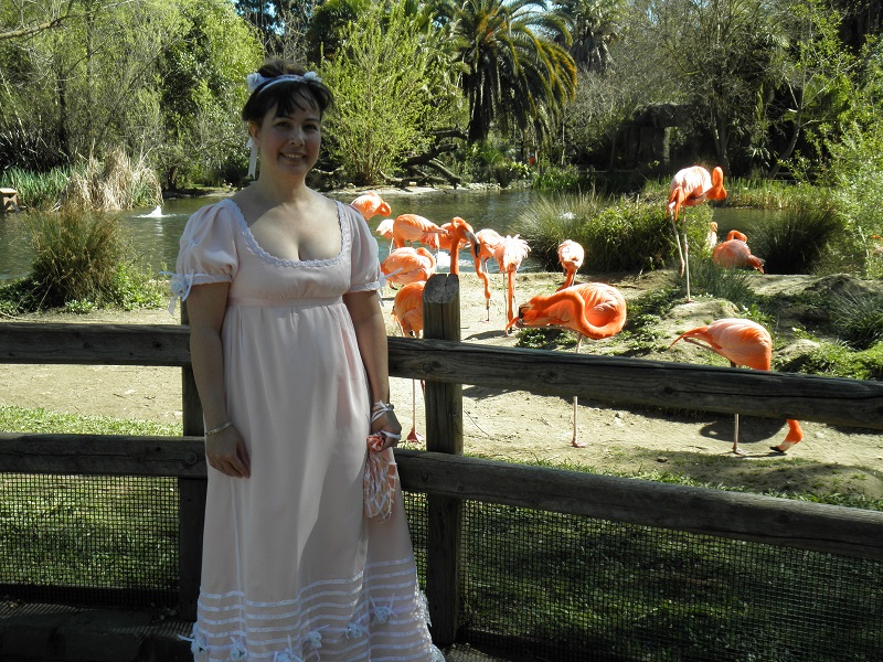 Reproduction Regency Peach with White Sheer Ball Gown. At the Sacramento Zoo with flamingoes.  April 2011